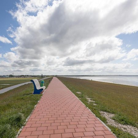 Direkt Am Deich - Ferienwohnung Amrum Im Gaestehaus Am Badedeich Dagebüll Esterno foto